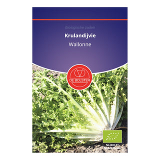 De Bolster Krulandijvie 'Wallonne' 1020