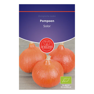 De Bolster Pompoen 'Solor' 1665