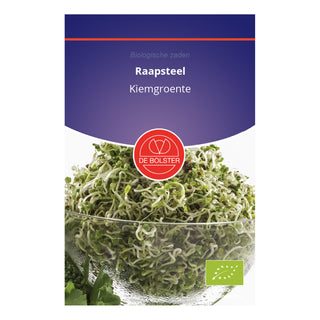 De Bolster Raapsteel - Kiemgroente