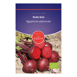 De Bolster Rode biet 'Egyptische platronde' 1040