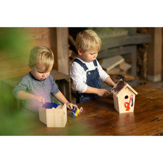 Vlinderkast met Schilderset