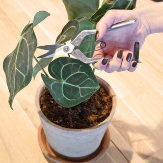 Esschert Design Plantenschaar