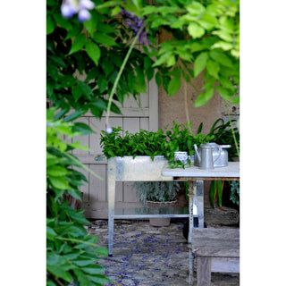 Urban Garden Trolley Kweektafel