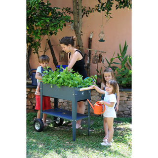 Urban Garden Trolley Kweektafel