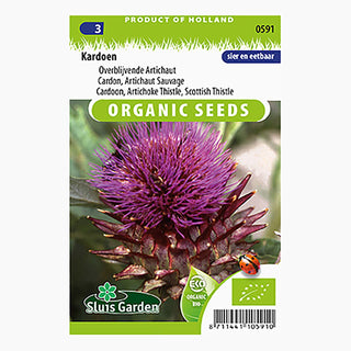 Sluis Garden Kardoen Overblijvende Artisjok SL0591