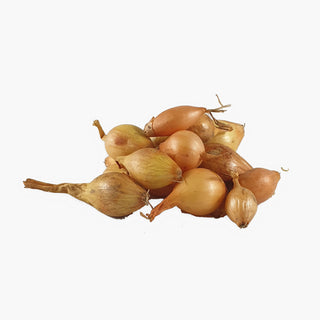 Sturon BIO Oignons à planter 250g