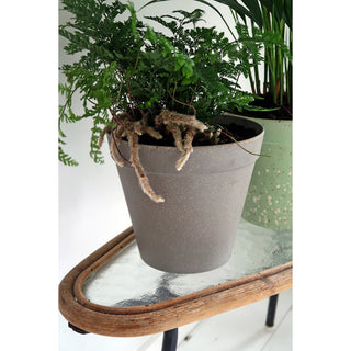 Plantenpot 'Jungle Fever' L